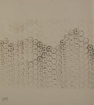 lotus_book_10136-pages-299