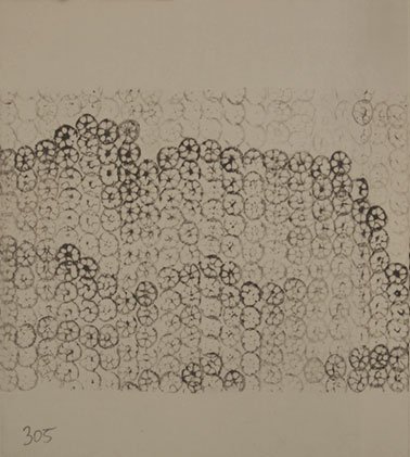 lotus_book_10136-pages-305