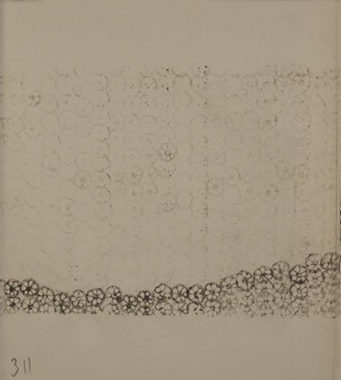 lotus_book_10136-pages-311