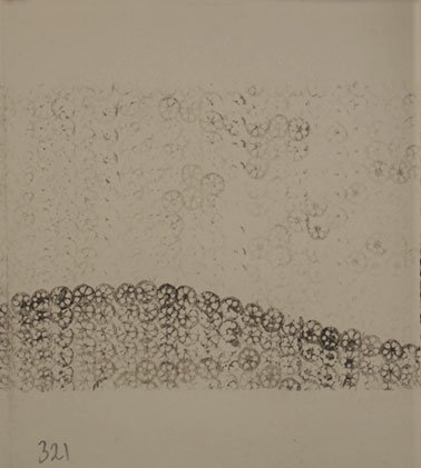 lotus_book_10136-pages-321b