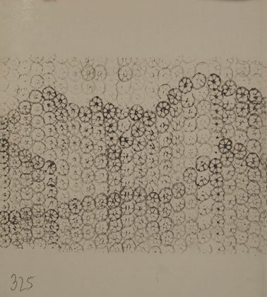lotus_book_10136-pages-325