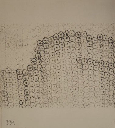 lotus_book_10136-pages-329