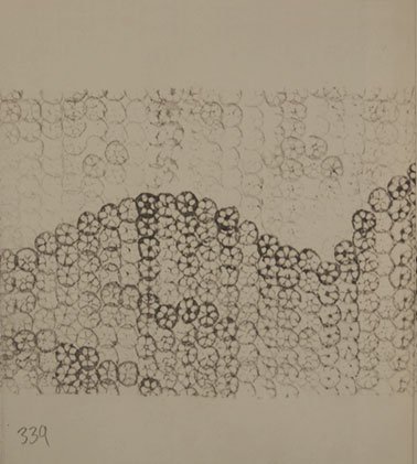 lotus_book_10136-pages-339