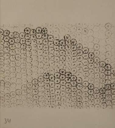 lotus_book_10136-pages-341