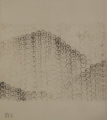 lotus_book_10136-pages-373