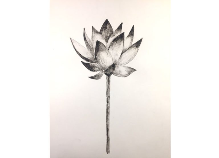 lotus_flower