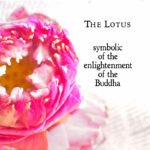 Lotus_art_book_sacred_ink-page7a