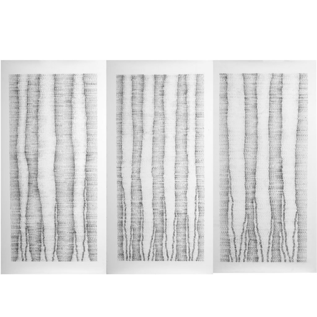 17837 Racines Triptyque - Morrison Polkinghorne