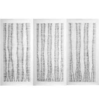 17837 Racines Triptyque